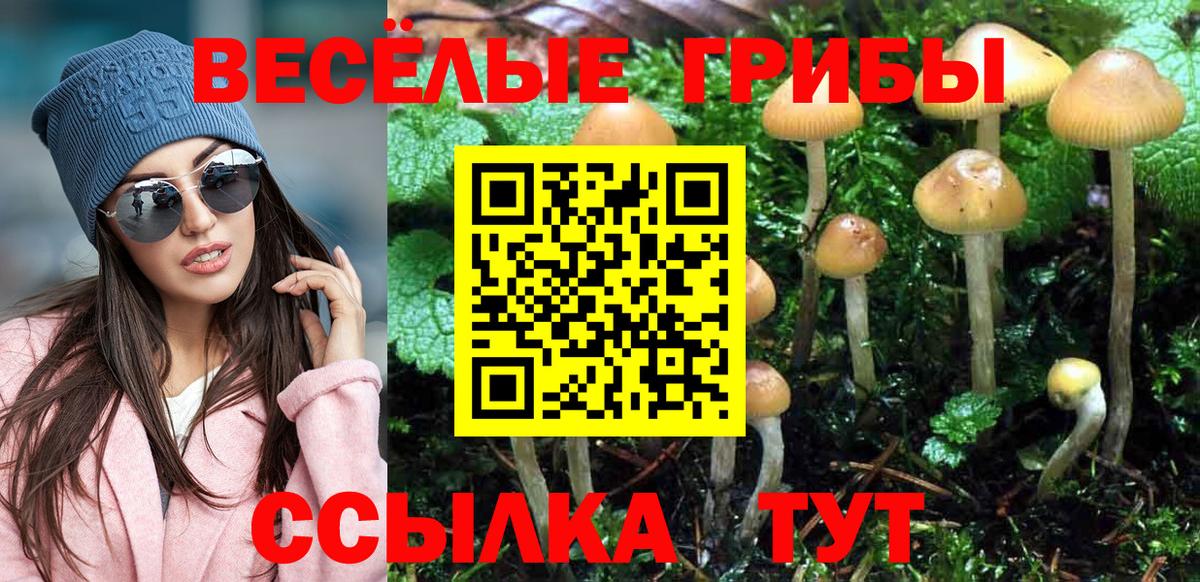 Галлюциногенные грибы MAGIC MUSHROOMS Кириши